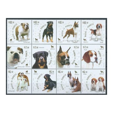 Meksyk - Nr 3409 - 20 2007r - Psy