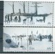 Irlandia - Nr 1569 - 72 2004r - Marynistyka