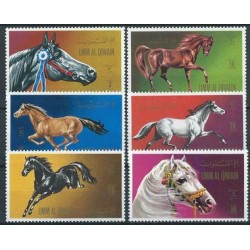 Umm Al Qiwain - Nr 496 - 01 1972r - Konie
