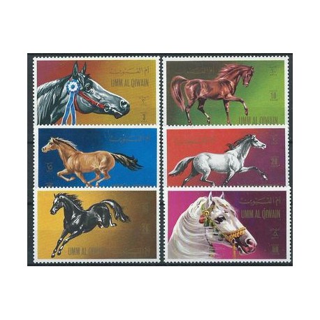 Umm Al Qiwain - Nr 496 - 01 1972r - Konie
