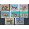 Yemen - Nr 382 - 89 B 1964r - Ssaki - Konie