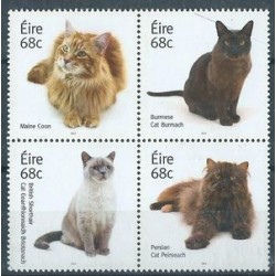 Irlandia - Nr 2108 - 11 2014r - Koty