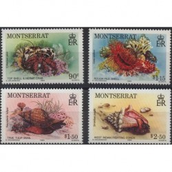 Montserrat - Nr 557 - 60 1984r - Muszle