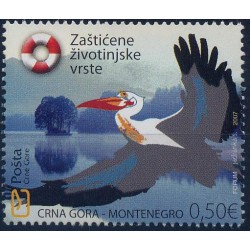 Czarnogóra - Nr 136 2007r - Ptak