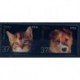 USA - Nr 3644 - 45 2002r - Pies - Kot